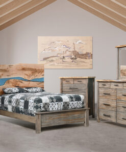 Tampa Bay Collection