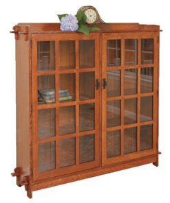 Timeless 2 Door Bookcase